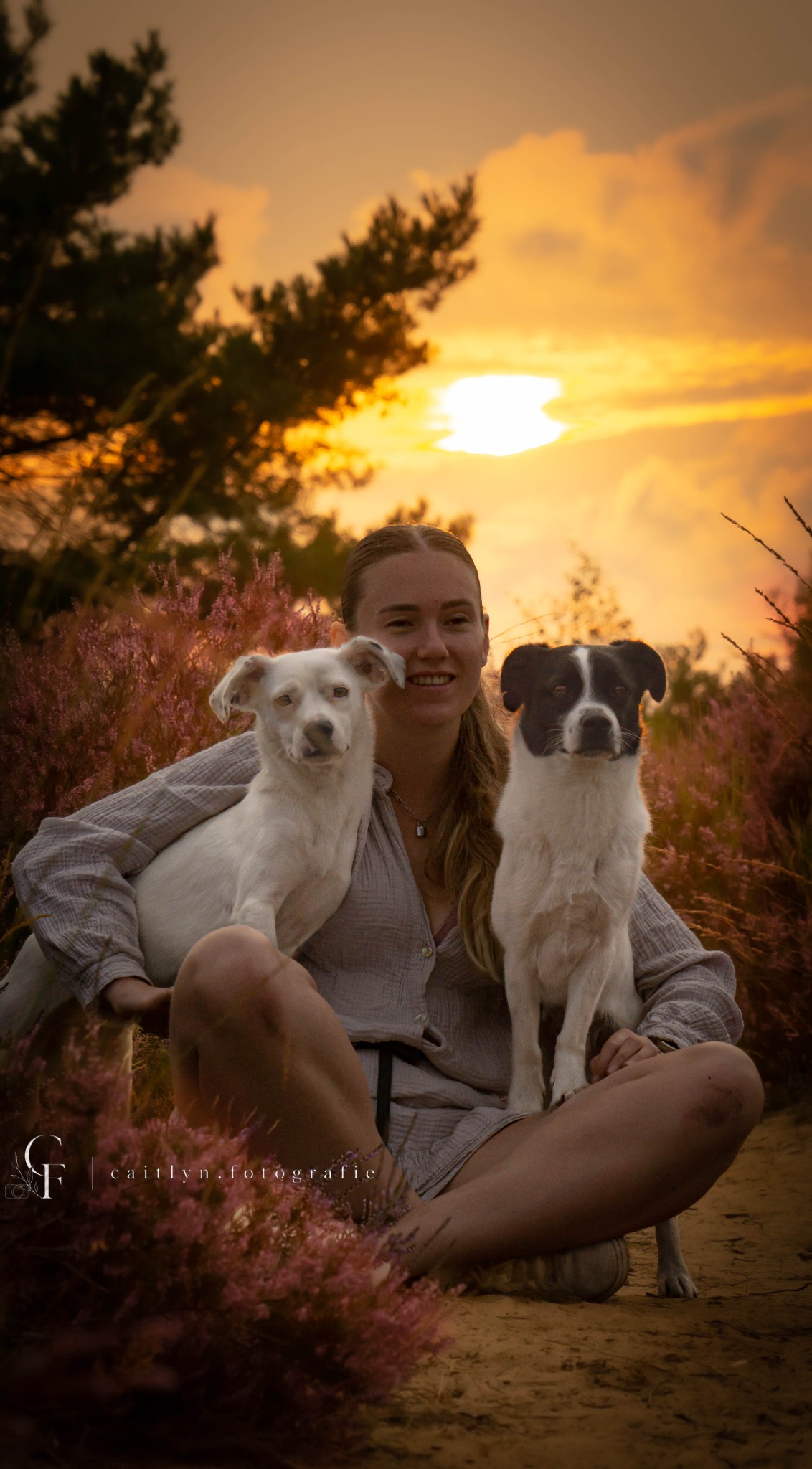 Persoon samen met twee honden tijdens zonsondergang