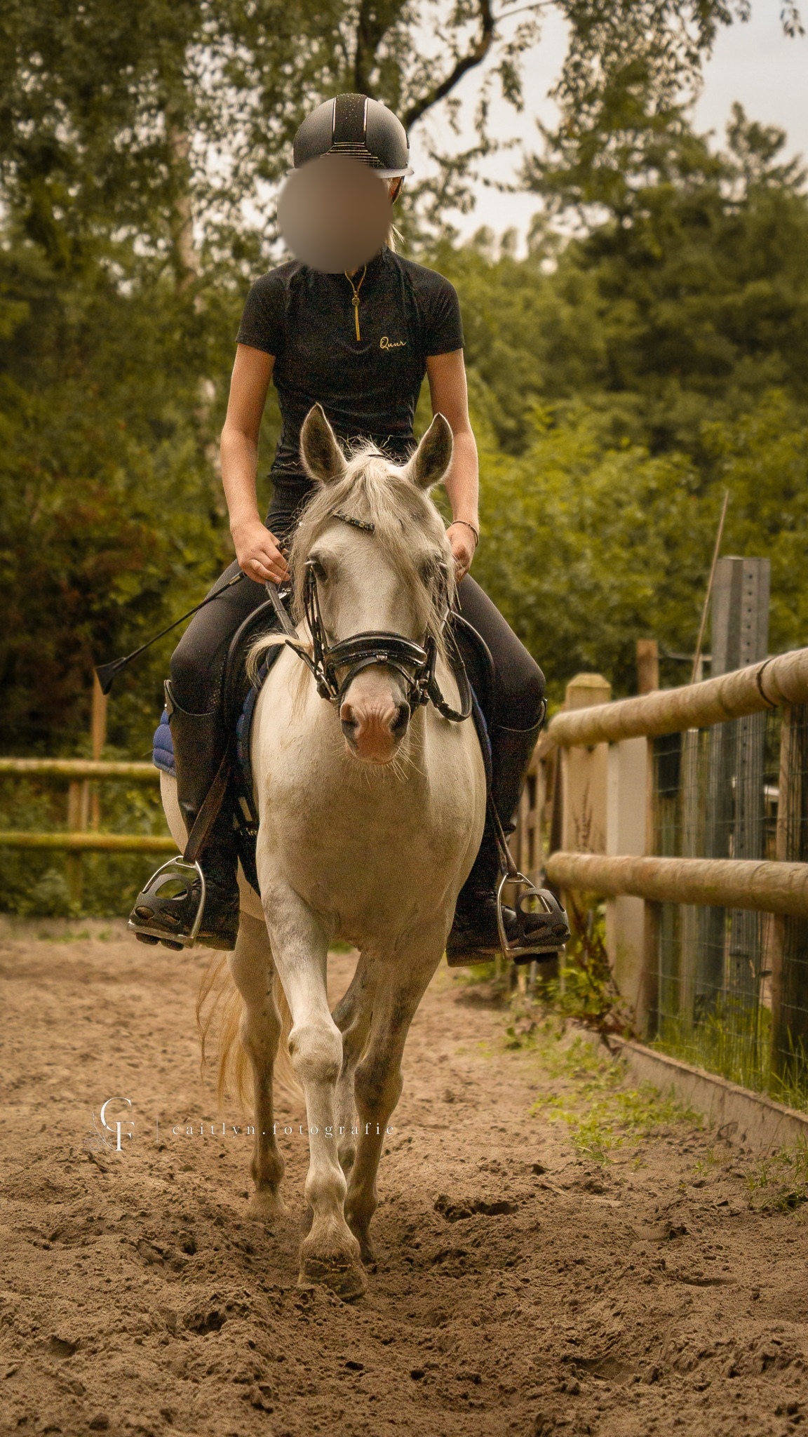 Actiefoto met paard